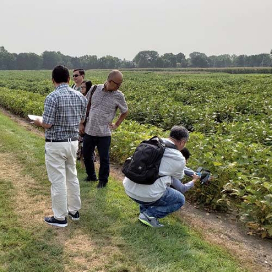 Picture of 2025 Food Grade Soy Procurement Course