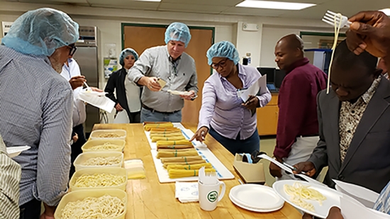 Picture of 2026 Pasta Production From Multiple Wheat Classes