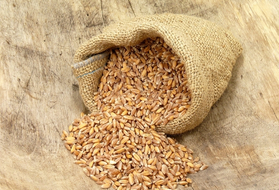 Emmer Wheat