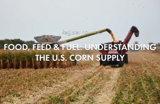 Picture of 2025 Food, Feed & Fuel: Understanding the U.S. Corn Supply