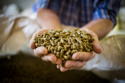 Picture of On-Demand Course: Quality Feed Pellet Production