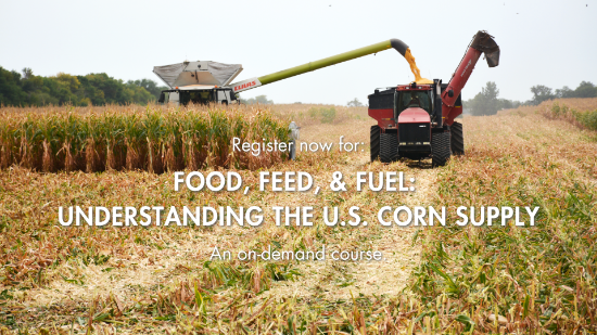 Picture of On-Demand: Food, Feed & Fuel: Understanding the U.S. Corn Supply