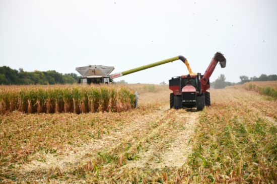 Picture of On-Demand: Food, Feed & Fuel: Understanding the U.S. Corn Supply