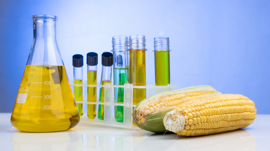 Picture of 2026 U.S. Ethanol Production and Procurement